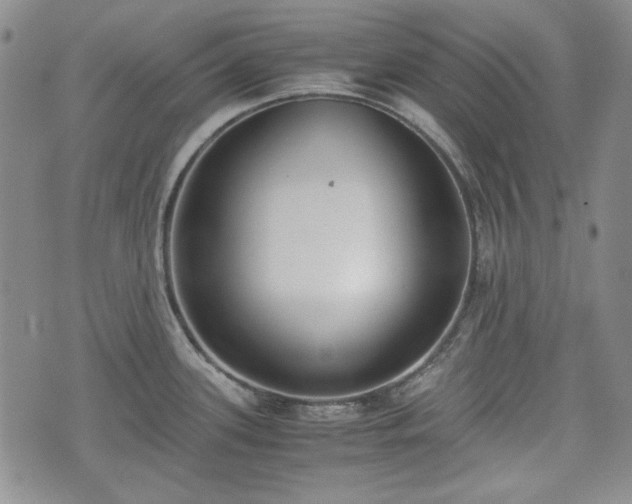 X0000073451339200608041018