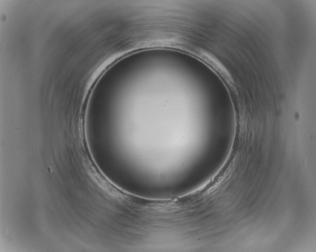 X0000073451340200608041018