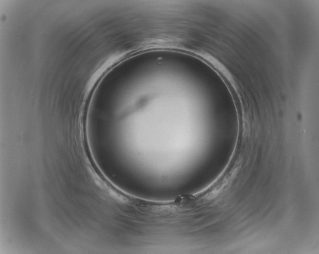 X0000073451341200608041018