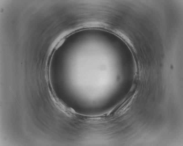 X0000073451342200608041018