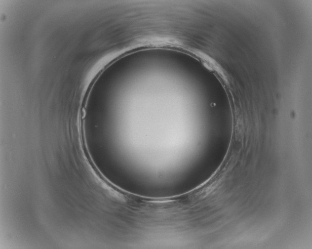 X0000073451343200608041018