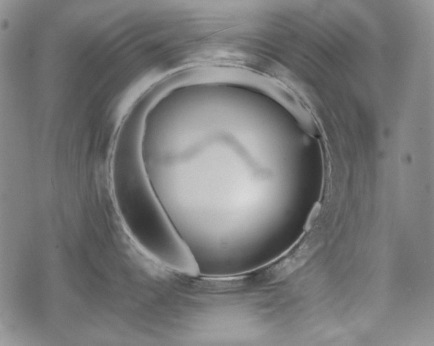 X0000073451344200608041018