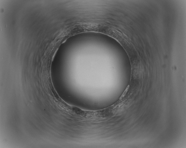 X0000073451345200608041017