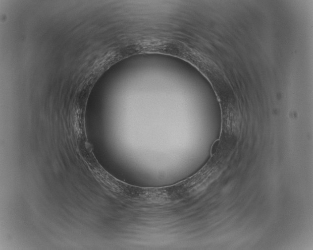 X0000073451346200608041017