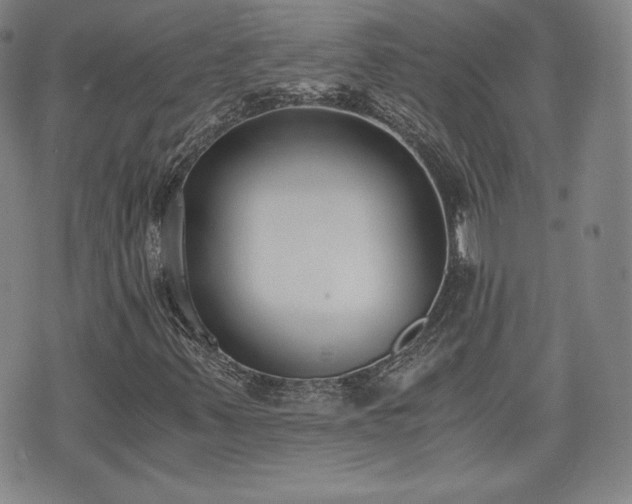 X0000073451347200608041017