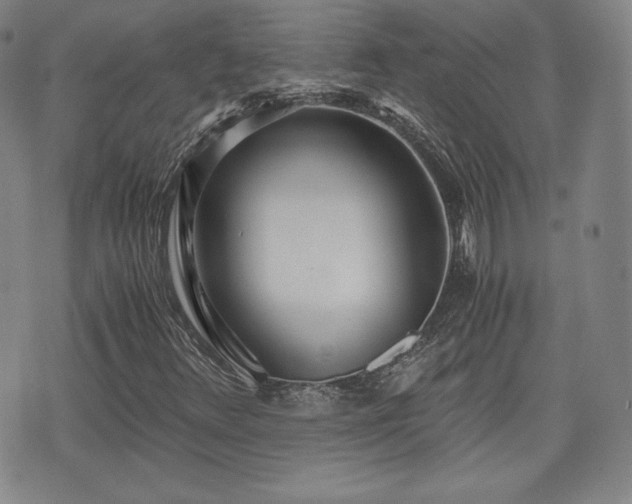 X0000073451348200608041017