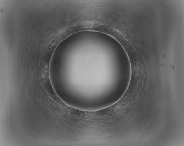 X0000073451349200608041017