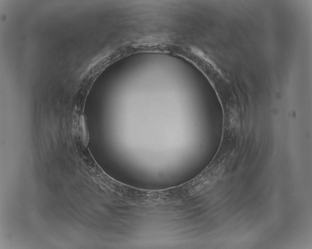 X0000073451350200608041017