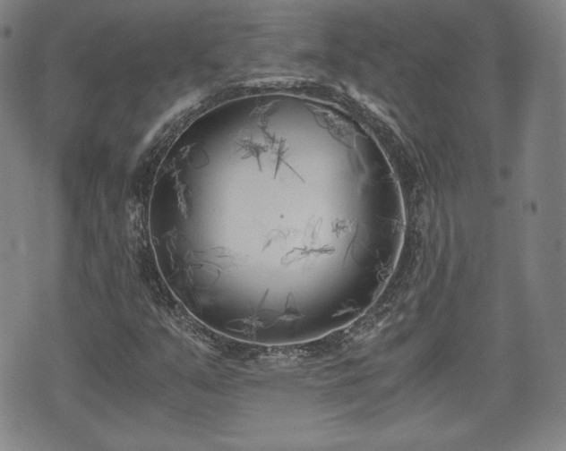 X0000073451351200608041017