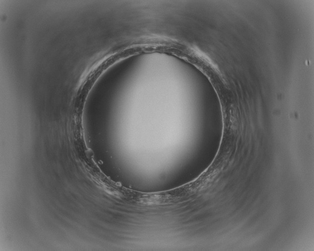 X0000073451352200608041017