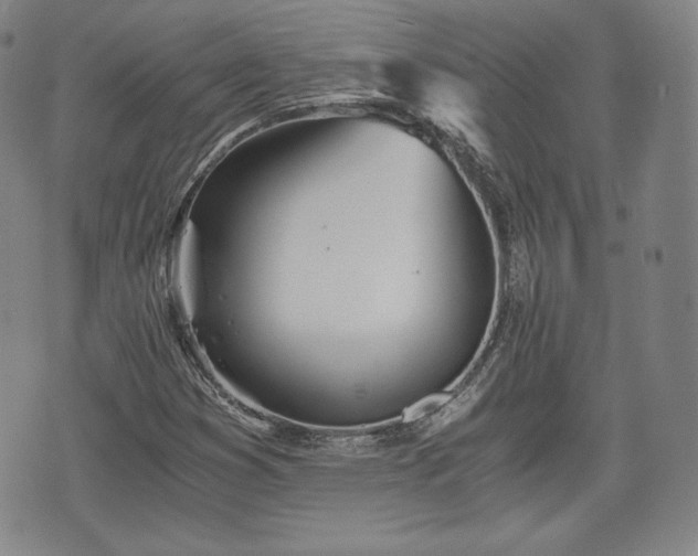 X0000073451353200608041017