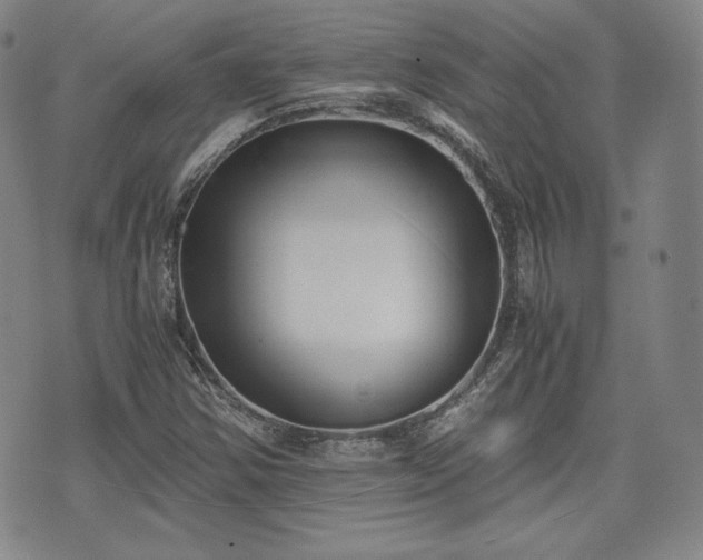 X0000073451354200608041017