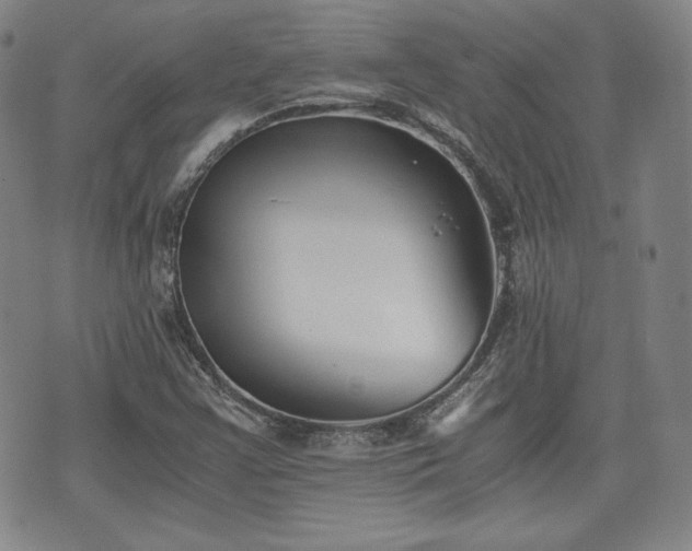 X0000073451355200608041017