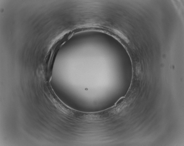 X0000073451356200608041017