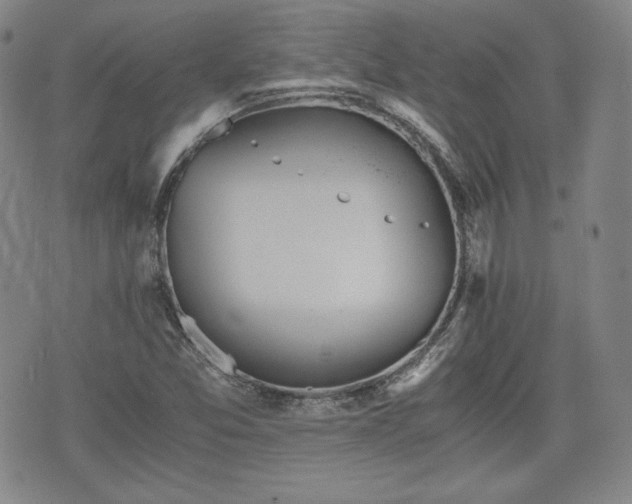 X0000073451357200608041017