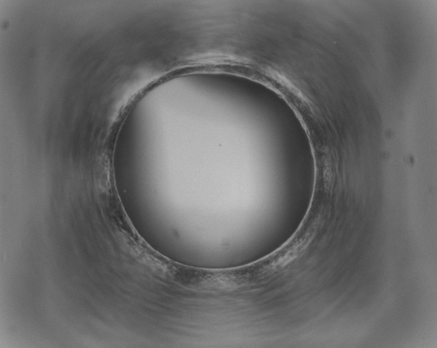 X0000073451358200608041017