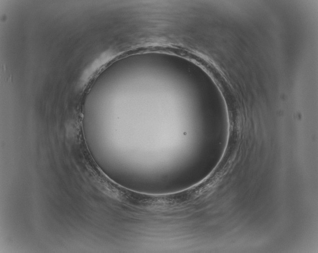 X0000073451359200608041017