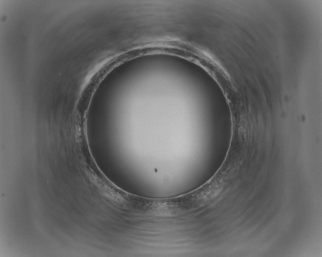 X0000073451360200608041017