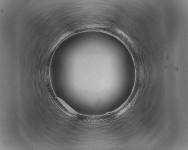 X0000073451361200608041017