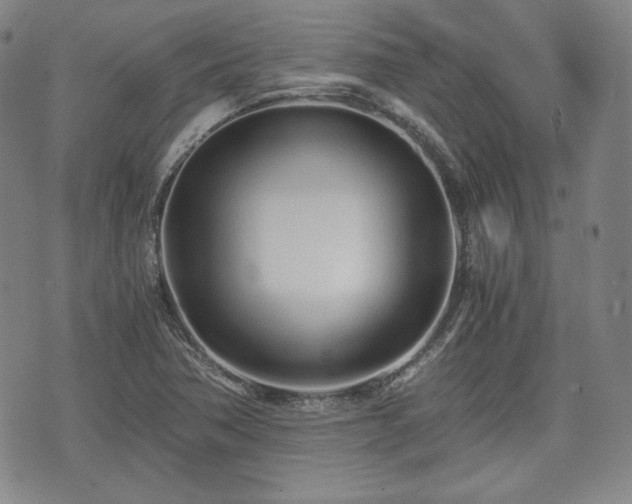 X0000073451362200608041017