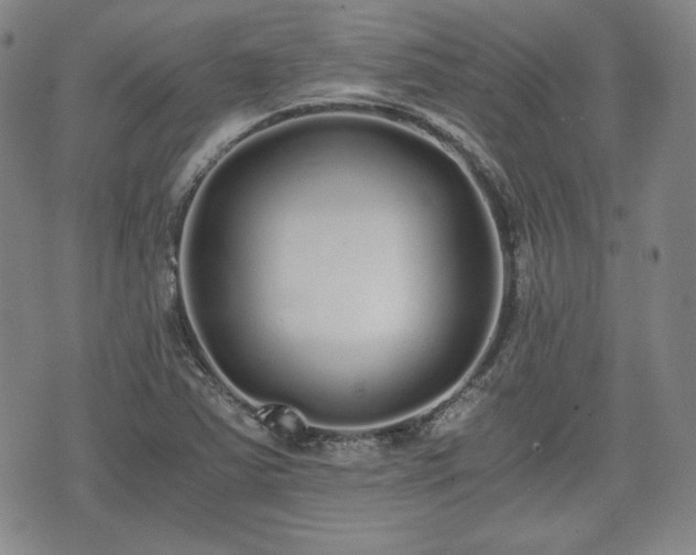 X0000073451363200608041017