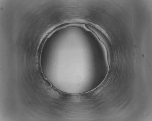 X0000073451364200608041017