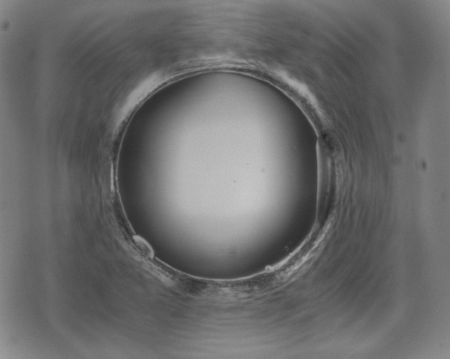 X0000073451365200608041017