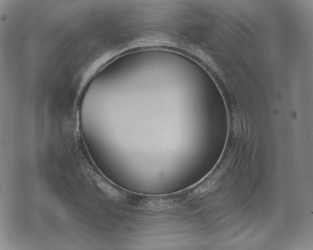 X0000073451366200608041017