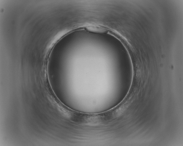 X0000073451367200608041017