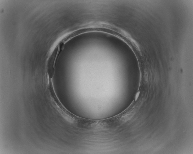 X0000073451368200608041017