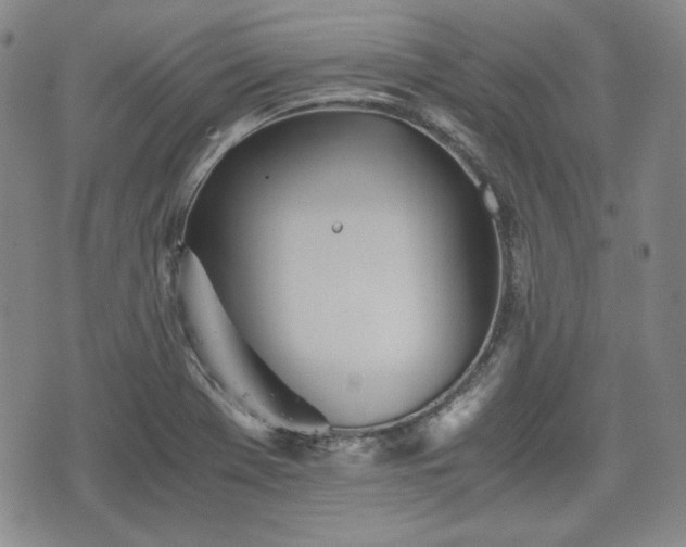 X0000073451369200608041017