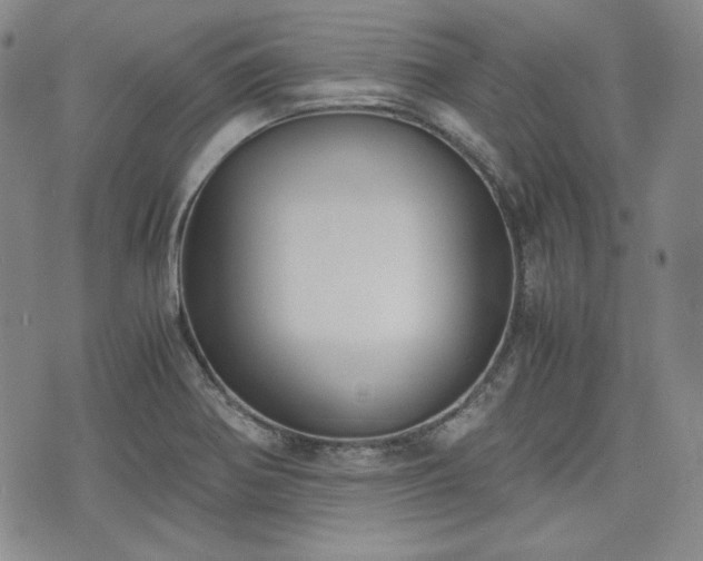 X0000073451370200608041017