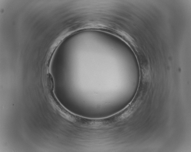 X0000073451371200608041017