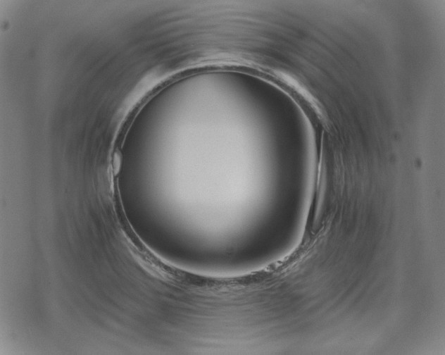 X0000073451372200608041017