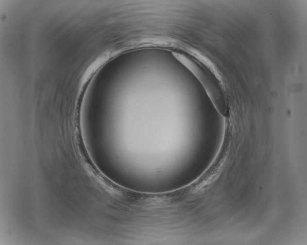 X0000073451373200608041017