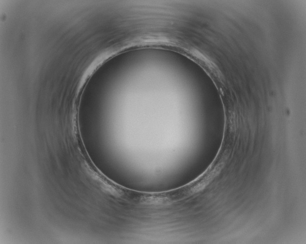 X0000073451374200608041017