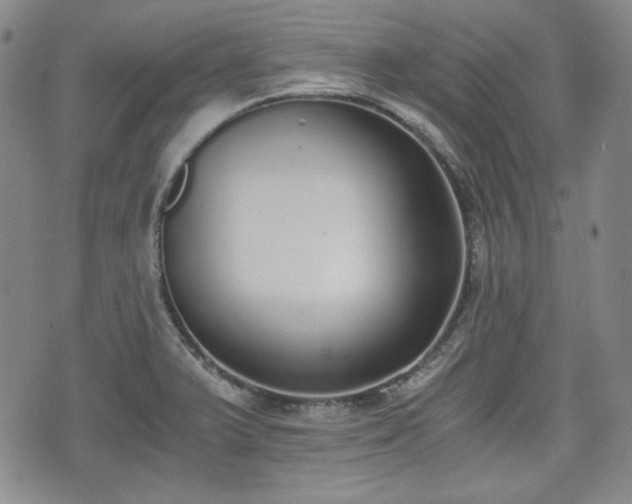 X0000073451375200608041017