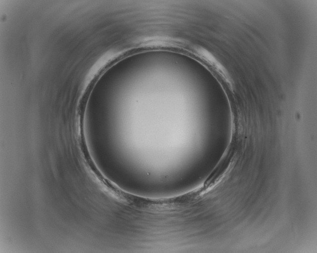 X0000073451376200608041017