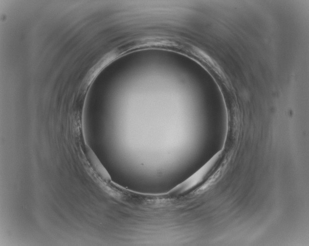 X0000073451377200608041017