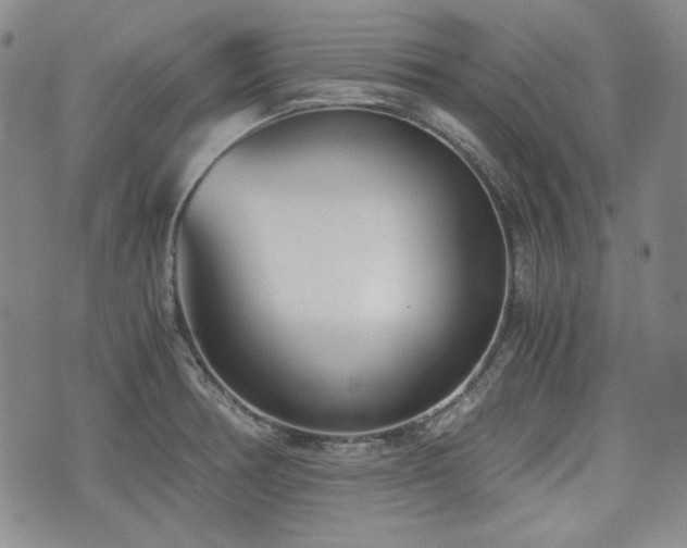 X0000073451378200608041017