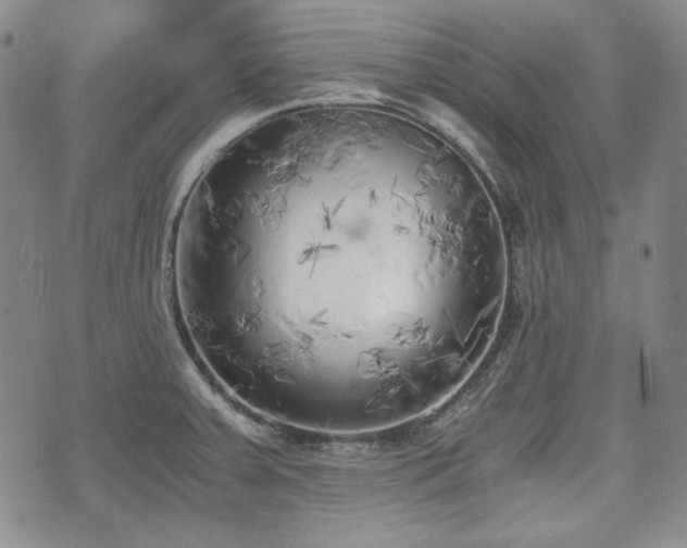 X0000073451379200608041017