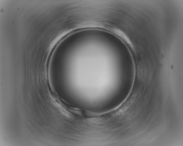 X0000073451380200608041017