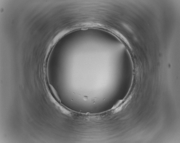 X0000073451381200608041017