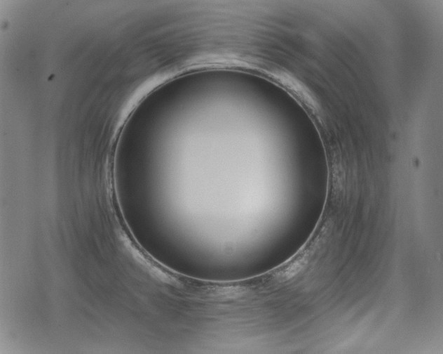 X0000073451382200608041017