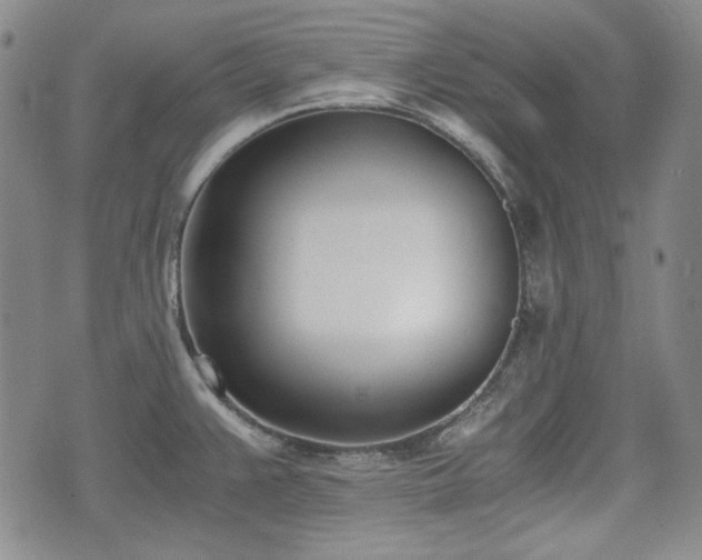 X0000073451383200608041017