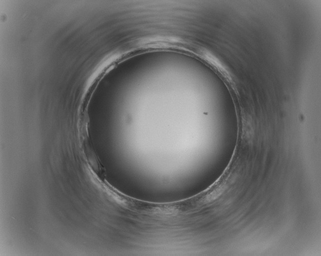 X0000073451384200608041017