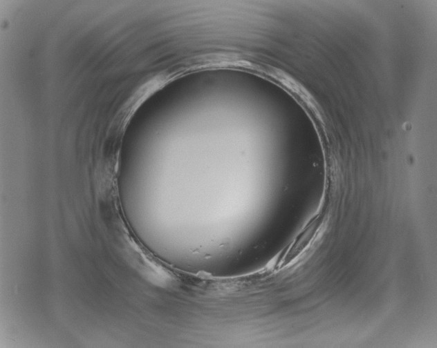 X0000073451385200608041017