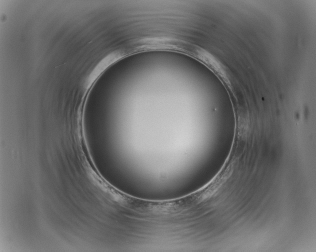 X0000073451386200608041017