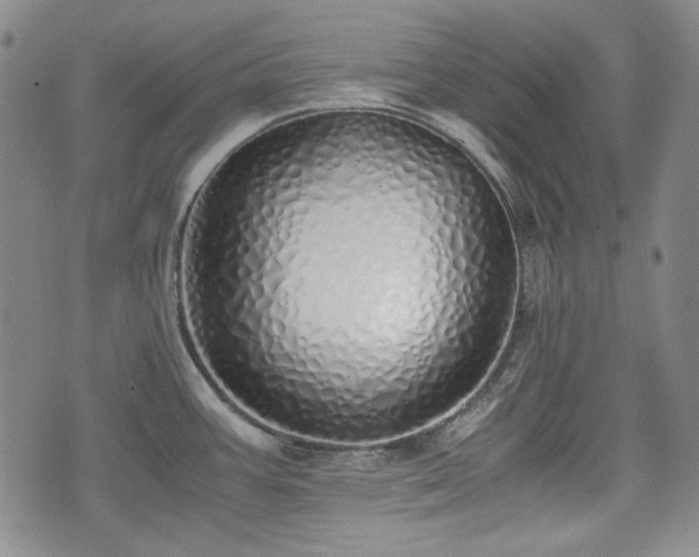 X0000073451387200608041017