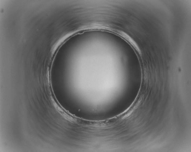 X0000073451388200608041017